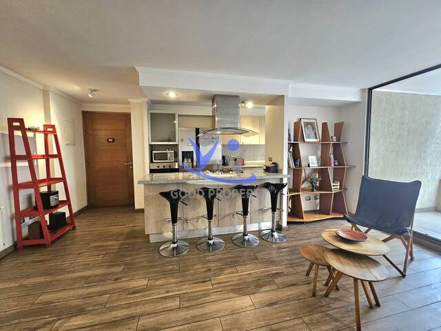 Departamento para Arriendo en Santiago - 5