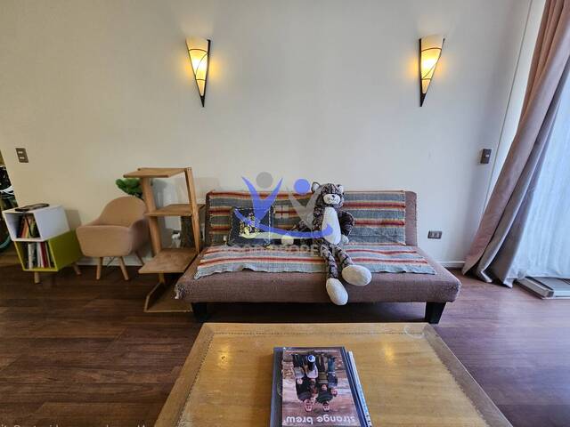 Departamento para Venta en Santiago - 4